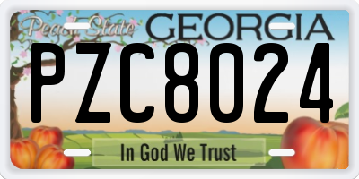 GA license plate PZC8024