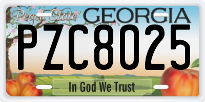 GA license plate PZC8025