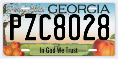 GA license plate PZC8028