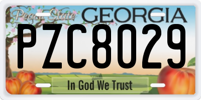 GA license plate PZC8029