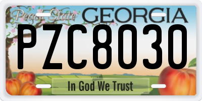 GA license plate PZC8030