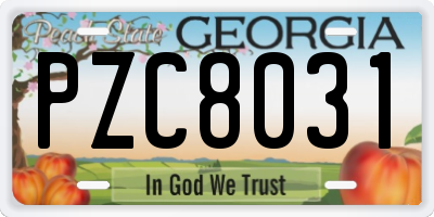 GA license plate PZC8031