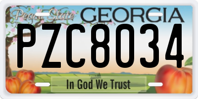 GA license plate PZC8034