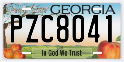 GA license plate PZC8041