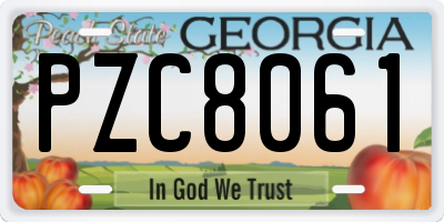 GA license plate PZC8061