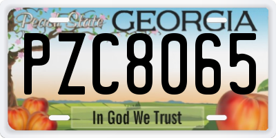 GA license plate PZC8065