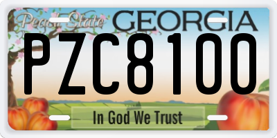 GA license plate PZC8100