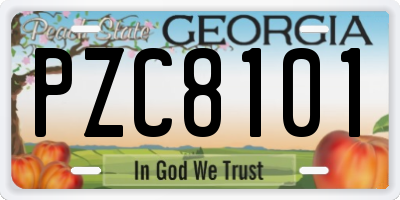GA license plate PZC8101
