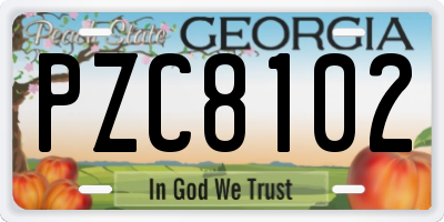 GA license plate PZC8102