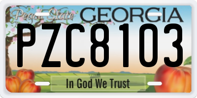 GA license plate PZC8103