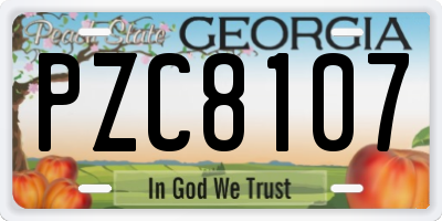 GA license plate PZC8107