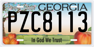 GA license plate PZC8113