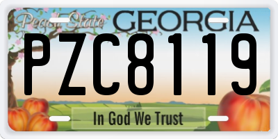 GA license plate PZC8119