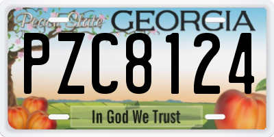 GA license plate PZC8124