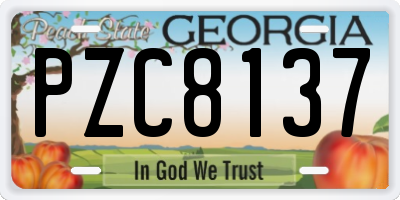 GA license plate PZC8137