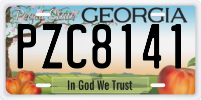 GA license plate PZC8141