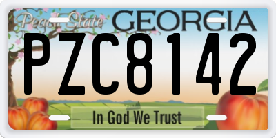 GA license plate PZC8142