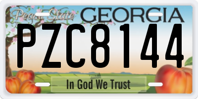 GA license plate PZC8144