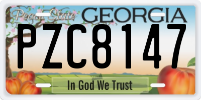 GA license plate PZC8147