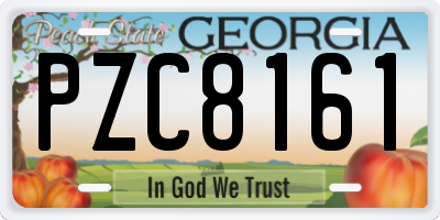 GA license plate PZC8161