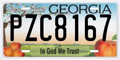 GA license plate PZC8167