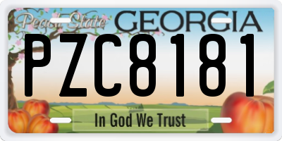 GA license plate PZC8181
