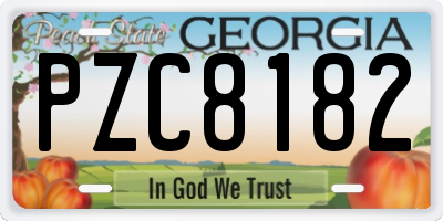 GA license plate PZC8182