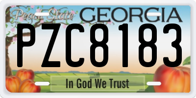GA license plate PZC8183