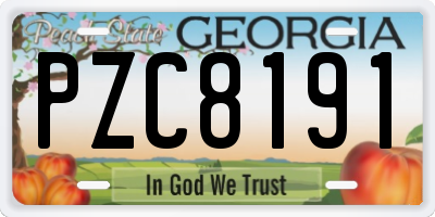 GA license plate PZC8191