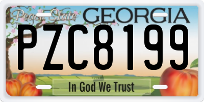 GA license plate PZC8199