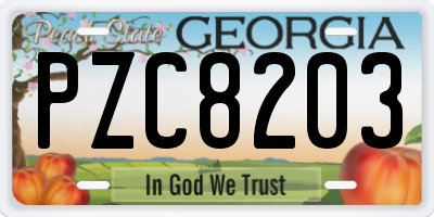 GA license plate PZC8203