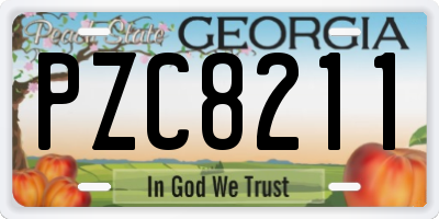 GA license plate PZC8211