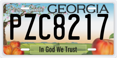 GA license plate PZC8217