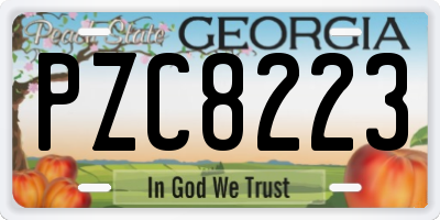GA license plate PZC8223