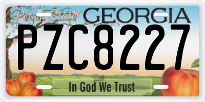GA license plate PZC8227