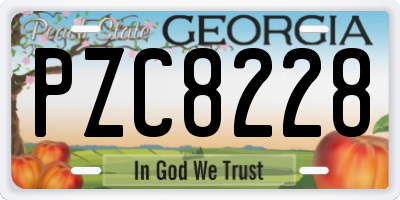 GA license plate PZC8228