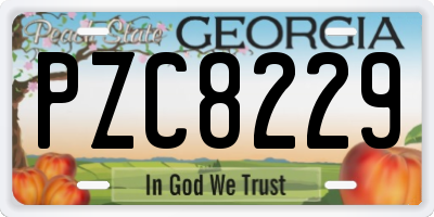 GA license plate PZC8229