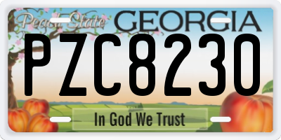 GA license plate PZC8230