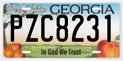 GA license plate PZC8231