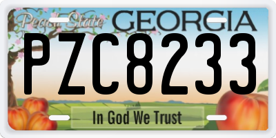 GA license plate PZC8233