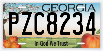 GA license plate PZC8234