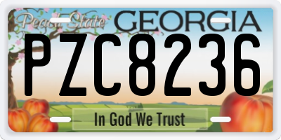 GA license plate PZC8236