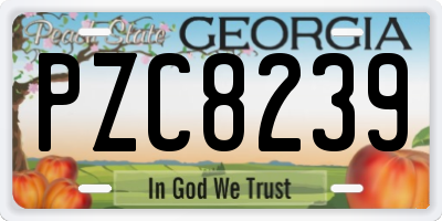 GA license plate PZC8239
