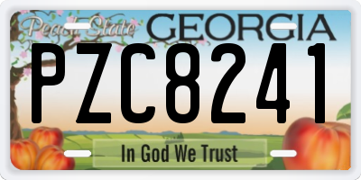 GA license plate PZC8241