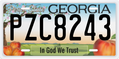GA license plate PZC8243