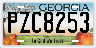 GA license plate PZC8253