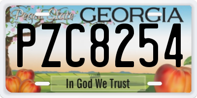 GA license plate PZC8254