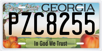 GA license plate PZC8255