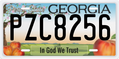GA license plate PZC8256