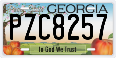 GA license plate PZC8257